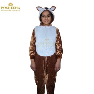 Squirrel Costume Kids Costume in Pakistan