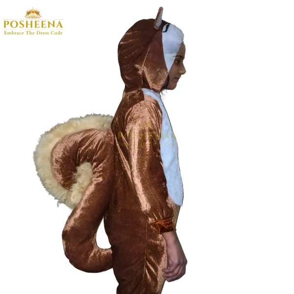 Squirrel Costume Kids Costume in Pakistan