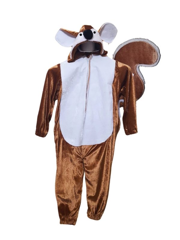 Squirrel Costume Kids Costume in Pakistan