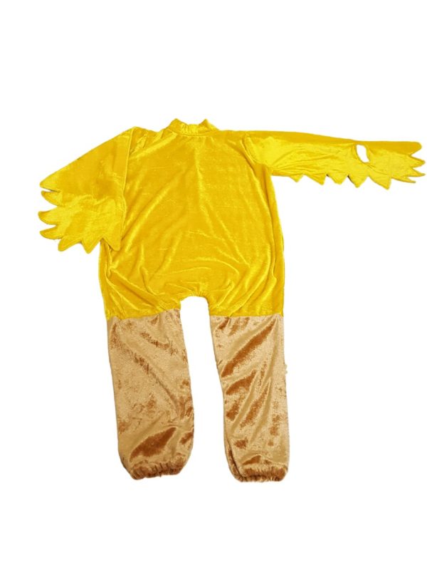 Tweety bird Costume Kids Costume in Pakistan