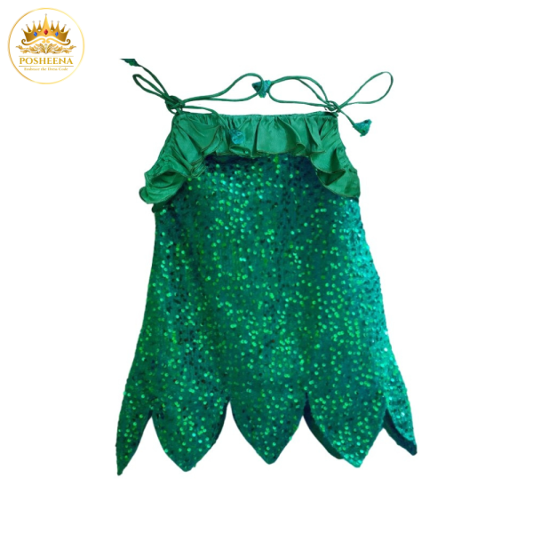 Tinker Bell Costume for Girls Kids Costume in Pakistan