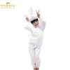 Rabbit Costume Kids Costume in Pakistan