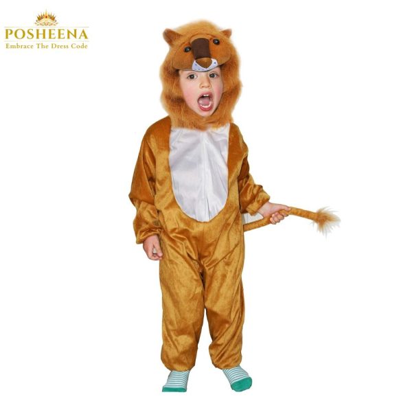 lion costume for kids Kids Costume in Pakistan