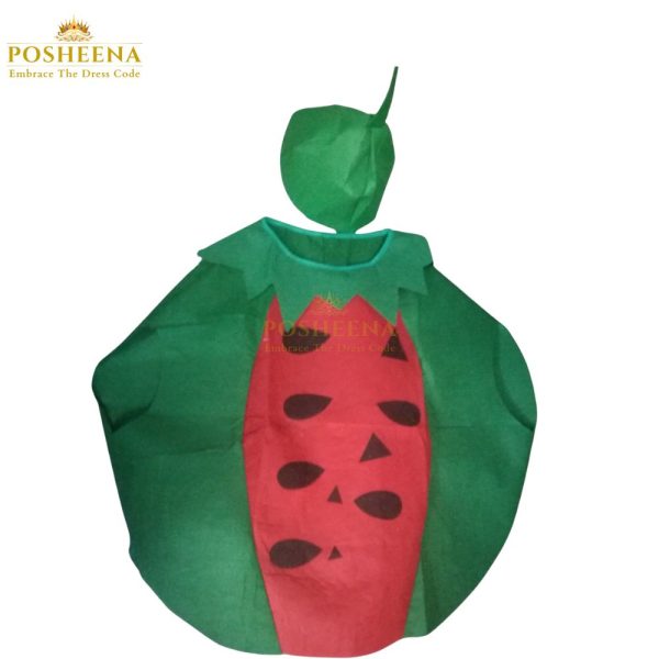 Watermelon Kids Costume