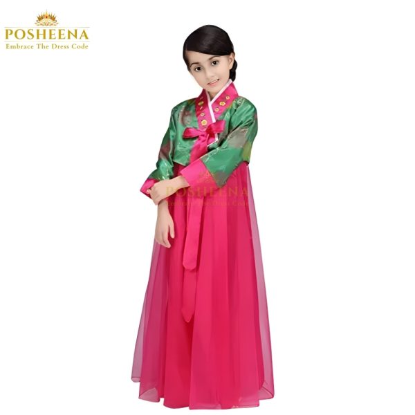 Korean Hanbok Costume for Girls - Traditional Korean Dress available at Posheena. Perfect for cultural events and worldwide delivery.