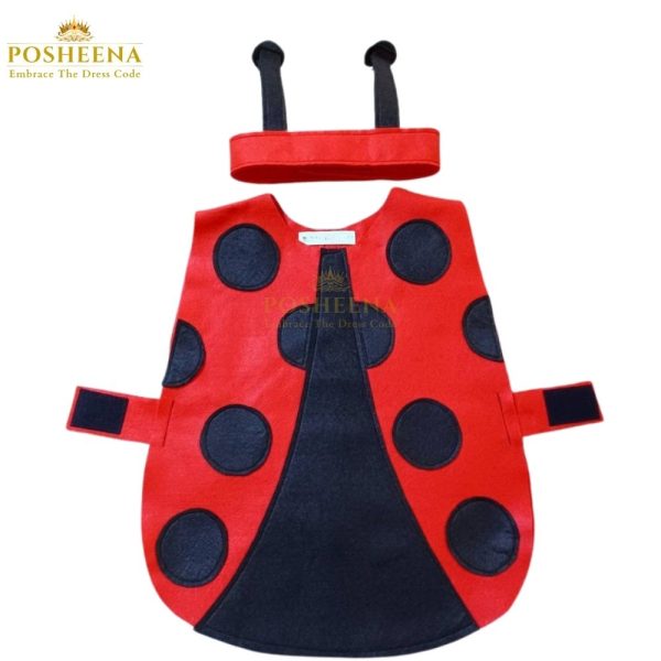 LadyBug Costume in Pakistan Kids Costume Shop near me Costume shop Islamabad Online costume store Pakistan Best kids costume shop near me Customized costume for kids in Pakistan Animal Costume Shop near me Kids costumes online Kids costume ideas for school Character costume shop near m