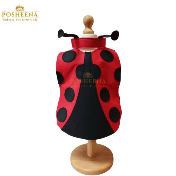 LadyBug Costume in Pakistan. Charming design, Custom sizes available. customize it to your design at Posheena. Whatsapp Us 03119131762