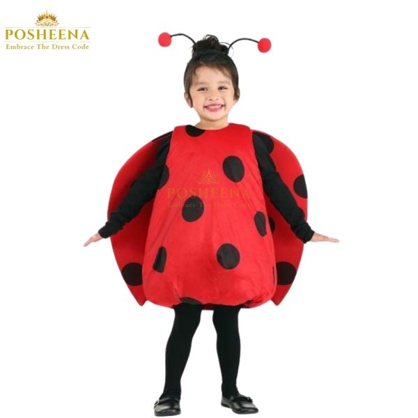 dorable LadyBug Costume in Pakistan. Charming design, Custom sizes available. customize it to your design at Posheena. Whatsapp Us 03119131762