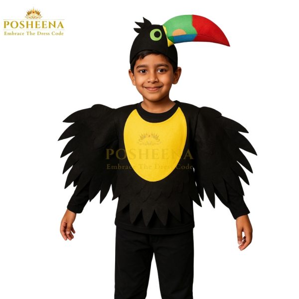 Toucan costume for kids – colorful bird outfit for Animal Day from online costume shop in Pakistan