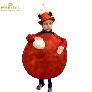 Mars costume for kids – space fancy dress for boys and girls, science event outfit by Posheena Pakistan