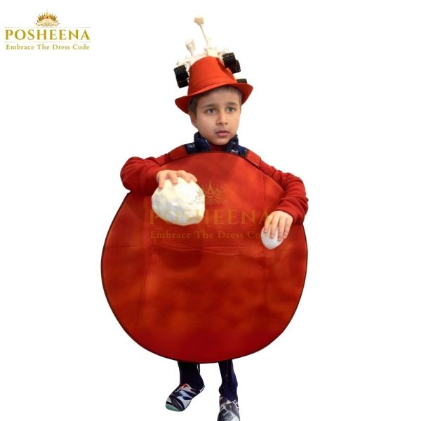 Mars costume for kids – space fancy dress for boys and girls, science event outfit by Posheena Pakistan