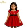 Minnie Mouse birthday dress for girls with red tulle skirt and white polka dots from Posheena