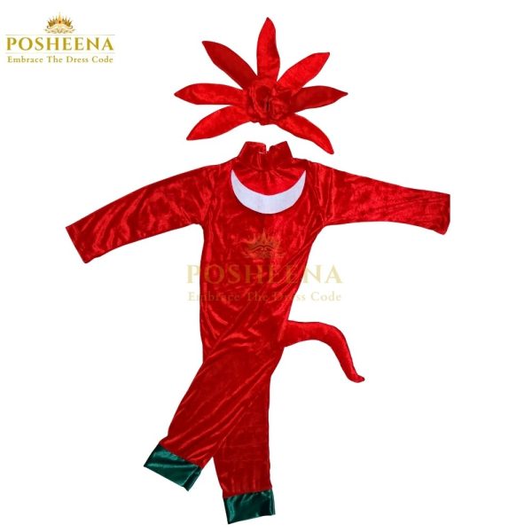 Child wearing SONIC THE HEDGEHOG KNUCKLES COSTUME from Posheena – Kids Character Costume Shop in Pakistan