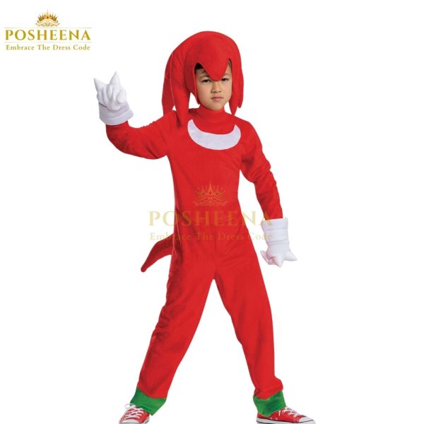 Child wearing SONIC THE HEDGEHOG KNUCKLES COSTUME from Posheena – Kids Character Costume Shop in Pakistan