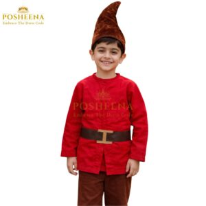 Dwarf costume for kids storybook character outfit – kids costumes online from costume shop online Pakistan Posheena